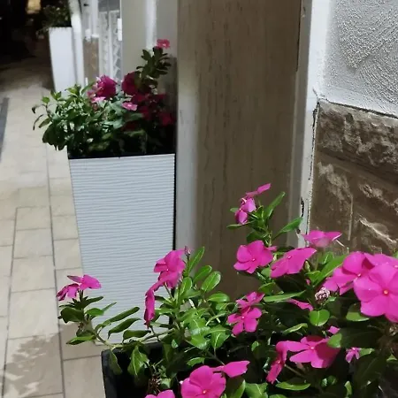 Дом отдыха Casa Renda *